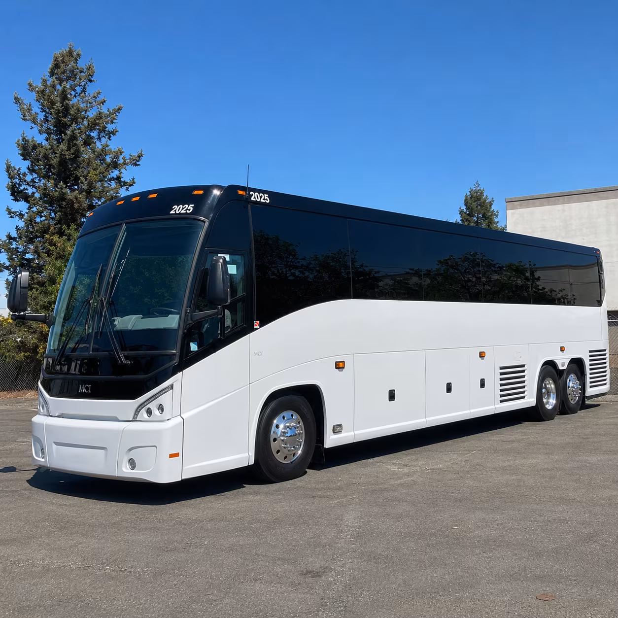 pilgrimage groups have a perfect bus waiting at the basilica of the national shrine